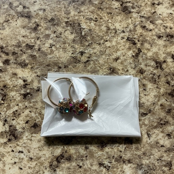 Colorful Gemstone Hoop Earrings - Picture 1 of 1